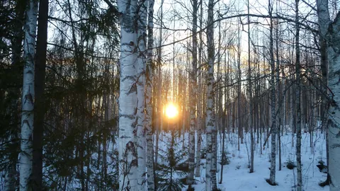 Solnedgång över Luleåskärgården i Luleå