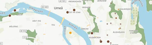 Kartan över Umeå med svampfynd och gammal skog